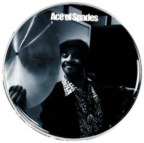 14" Artists Limited Edition Military Drum Striking Skin