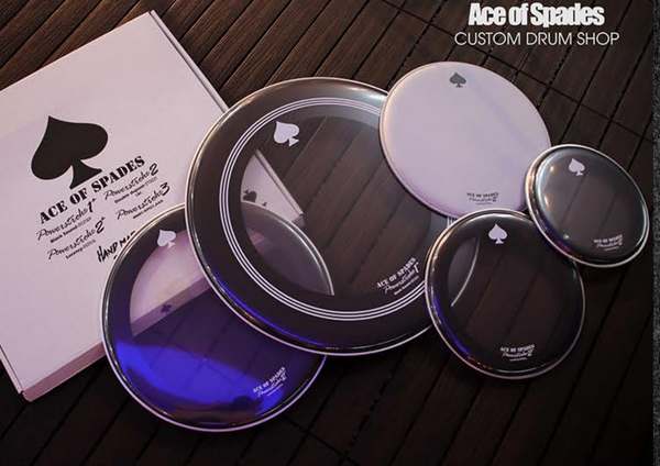 Ace Taiwan Low-Frequency Impact Leather Set